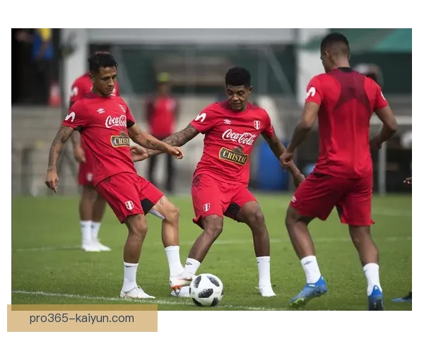 秘鲁队体能表现